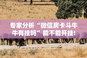 专家分析“手机棋牌科技 包赢[确实真的有挂]