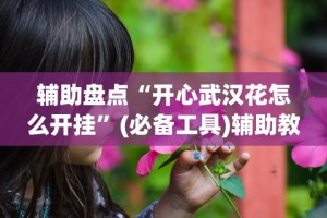 辅助盘点“开心武汉花怎么开挂”(必备工具)辅助教学