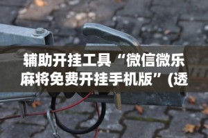 辅助开挂工具“微信微乐麻将免费开挂手机版”(透视)其实确实有挂