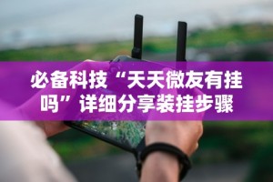 必备科技“天天微友有挂吗”详细分享装挂步骤