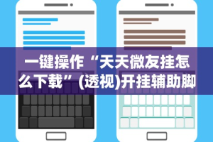 一键操作“天天微友挂怎么下载”(透视)开挂辅助脚本+详细开挂安装教程