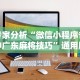 专家分析“微信小程序雀神广东麻将技巧”通用版下载教程