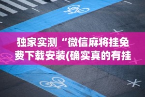 开挂辅助工具“椰岛常胜游戏麻将有没有挂”开挂科技辅助神器手机