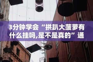 3分钟学会“拱趴大菠萝有什么挂吗,是不是真的”通用版下载教程！
