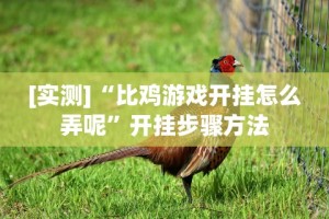 玩家攻略科普“一乐棋牌有挂吗”开挂详细教程