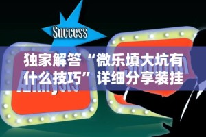 独家解答“微乐填大坑有什么技巧”详细分享装挂步骤