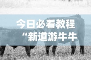 今日必看教程“新道游牛牛透视”(原来确实是有插件)