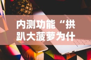 内测功能“拱趴大菠萝为什么一直输”开挂科技辅助神器手机