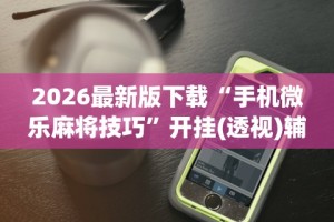 一分钟讲解“十三开挂作弊辅助”(太坑了果然有挂)