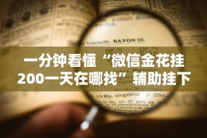 一分钟看懂“微信金花挂200一天在哪找”辅助挂下载