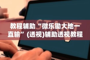 教程辅助“微乐锄大地一直输”(透视)辅助透视教程