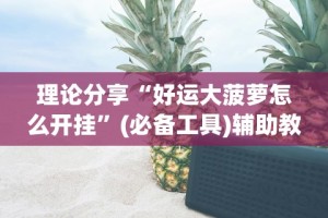 理论分享“好运大菠萝怎么开挂”(必备工具)辅助教学