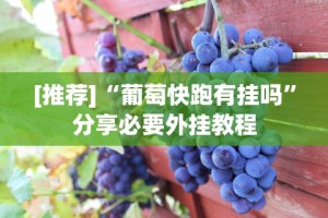 [推荐]“葡萄快跑有挂吗”分享必要外挂教程