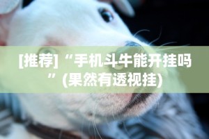 [推荐]“手机斗牛能开挂吗”(果然有透视挂)
