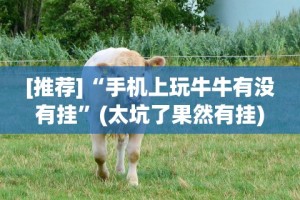[推荐]“手机上玩牛牛有没有挂”(太坑了果然有挂)