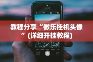 教程分享“微乐挂机头像”(详细开挂教程)