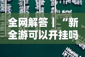全网解答｜“新全游可以开挂吗”其实确实有挂