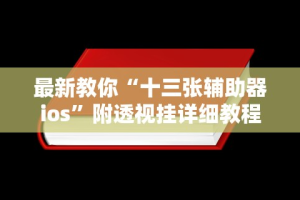 最新教你“十三张辅助器ios”附透视挂详细教程