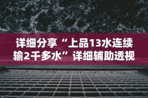 详细分享“上品13水连续输2千多水”详细辅助透视