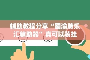 辅助教程分享“蜀渝牌乐汇辅助器”真可以装挂