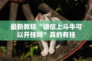 最新教程“微信上斗牛可以开挂吗”真的有挂