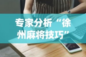 专家分析“徐州麻将技巧”(助赢详细开挂教程)