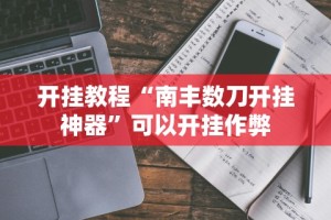 【第一攻略】“友间十三张开挂有风险吗”掌握辅助功能必胜规则