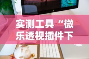 实测工具“微乐透视插件下载”开挂辅助详细步骤