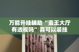万能开挂辅助“蛮王大厅有透视吗”真可以装挂