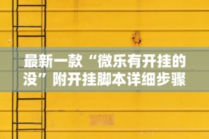 最新一款“微乐有开挂的没”附开挂脚本详细步骤