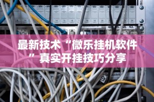 最新技术“微乐挂机软件”真实开挂技巧分享
