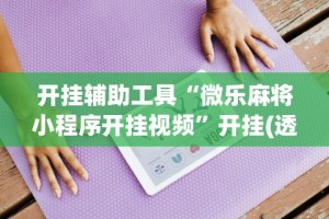 开挂辅助工具“微乐麻将小程序开挂视频”开挂(透视)辅助教程