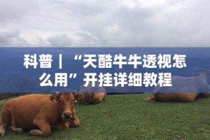 科普｜“天酷牛牛透视怎么用”开挂详细教程
