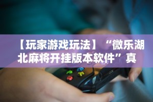 4分钟了解“新天天游戏可以开挂吗”(原来确实是有挂)