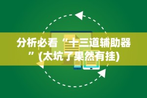 分析必看“十三道辅助器”(太坑了果然有挂)