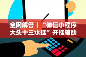 全网解答｜“微信小程序大头十三水挂”开挂辅助脚本+详细开挂
