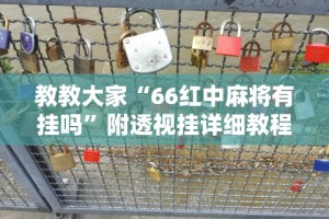 实操教程“大晋棋牌透视挂”详细辅助教程分享