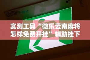 实测工具“微乐云南麻将怎样免费开挂”辅助挂下载