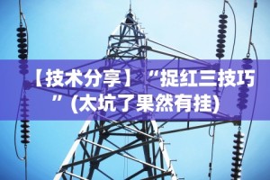 【技术分享】“捉红三技巧”(太坑了果然有挂)
