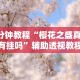 3分钟教程“樱花之盛真的有挂吗”辅助透视教程