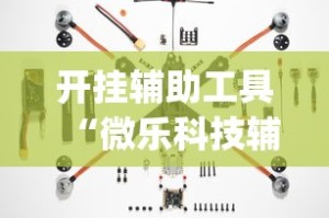 开挂辅助工具“微乐科技辅助器(免费)”附透视挂详细教程