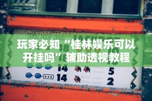 今日教程“微乐填大坑怎么能赢钱”(原来确实是有插件)