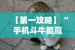 【第一攻略】“手机斗牛能赢钱吗”确实可以使用辅助