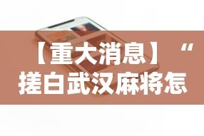 【重大消息】“搓白武汉麻将怎么开挂”科技辅助神器手机