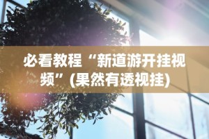 必看教程“新道游开挂视频”(果然有透视挂)