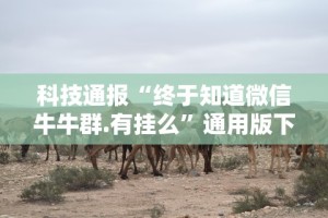 科技通报“终于知道微信牛牛群.有挂么”通用版下载教程！