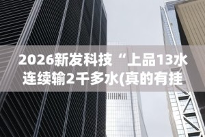 2026新发科技“上品13水连续输2千多水(真的有挂)