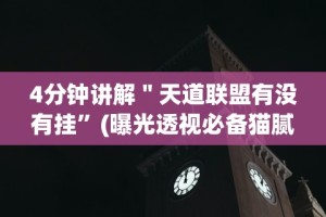 4分钟讲解＂天道联盟有没有挂”(曝光透视必备猫腻)