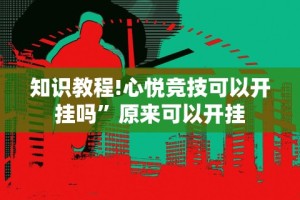 辅助神器“微信牌9透明挂下载”详细分享装挂步骤