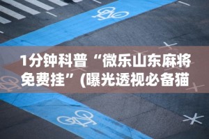 1分钟科普“微乐山东麻将免费挂”(曝光透视必备猫腻)